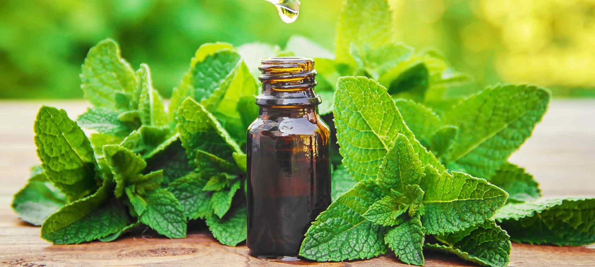 Peppermint Extract